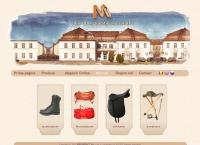 Website Menicom SRL