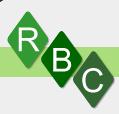Rbc Consulting & Audit SRL
