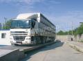 Pod rutier electronic- 60 t, 18 m