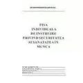 Fisa-individuala-de-instr