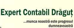 Expert Contabil Dragut S.r.l