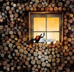PETRUS COM MAGAZIN STIHL SANPETRU