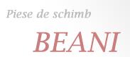 Beani Com SRL