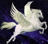 Pegasus Restaurari SRL