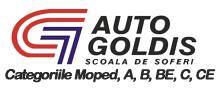 Auto Goldiş