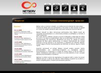 Website Netserv Consult SRL