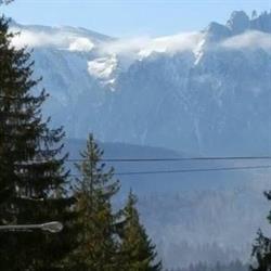 Telegraf Tours S.r.l