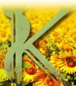 Kronmedica 2003 S.r.l