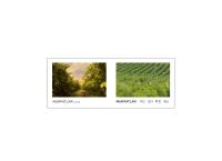 Vie Vin Murfatlar SA
