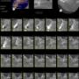 Cross Sections + Masuratori CBCT