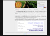 Website Vinex Murfatlar SRL