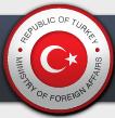 Ambasada Republicii Turcia