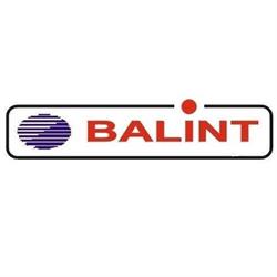Service Auto Balint