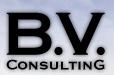 Bv Consulting S.r.l