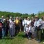 Încărcat de vizitator în 05.05.2017 