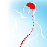 Clinica de Neurochirurgie Targu Mures