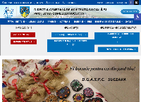 Website Directia Generala de Asistenta Sociala Si Protectia Copilului Suceava