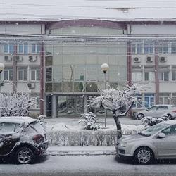Directia Sanitara Veterinara Si Pentru Siguranta Alimentelor Maramures