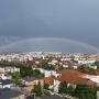Încărcat de vizitator în 10.08.2016 