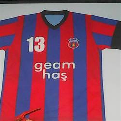 Geam-Has SRL