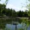 Gradina Botanica