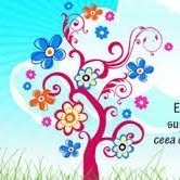 Grădiniţa Program Prelungit Nr. 8