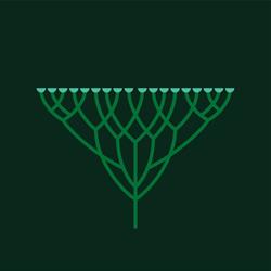 S.C Herba Millefolium S.R.L