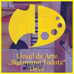 Liceul de Muzica Si Arte Plastice Sigismund Toduta Deva