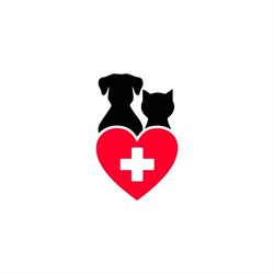 Medicalvet S.r.l
