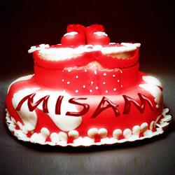 Misam S.r.l.