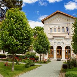 Muzeul Casa Cuza Voda Galati