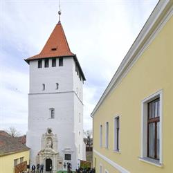Muzeul Memorial Arany János