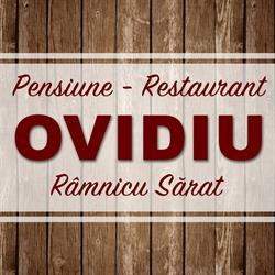 Pensiunea Turistica Ovidiu Ramnicu Sarat