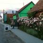 in fata casei