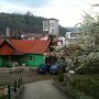 primavara