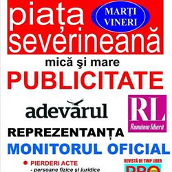 Piata Severineana S.r.l