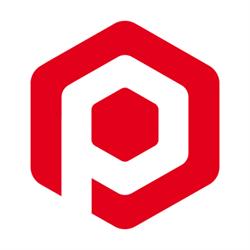 SC Polydis SRL
