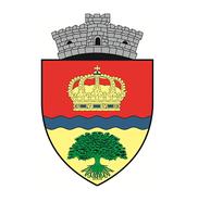 Primăria 1 Decembrie