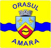Primăria Amara