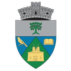Primăria Brăneşti