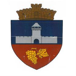 Primaria Calnic