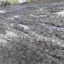 Încărcat de vizitator în 01.12.2017 