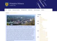 Primaria Feleacu