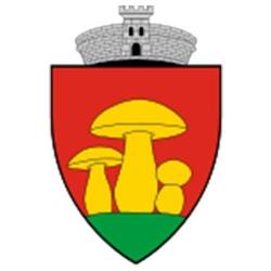 Primăria Glimboca