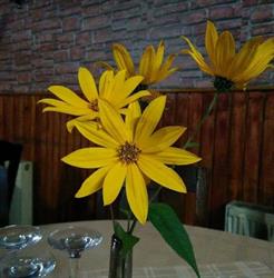 Restaurant Masa Lui Traian