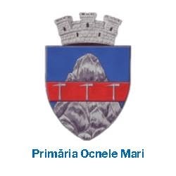 Primăria Ocnele Mari