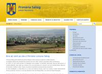 Primăria Sălsig