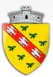 Primaria Slatina-Timis