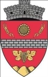 Primăria Valu Lui Traian