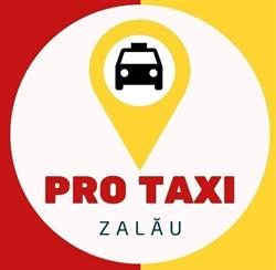 Pro Taxi